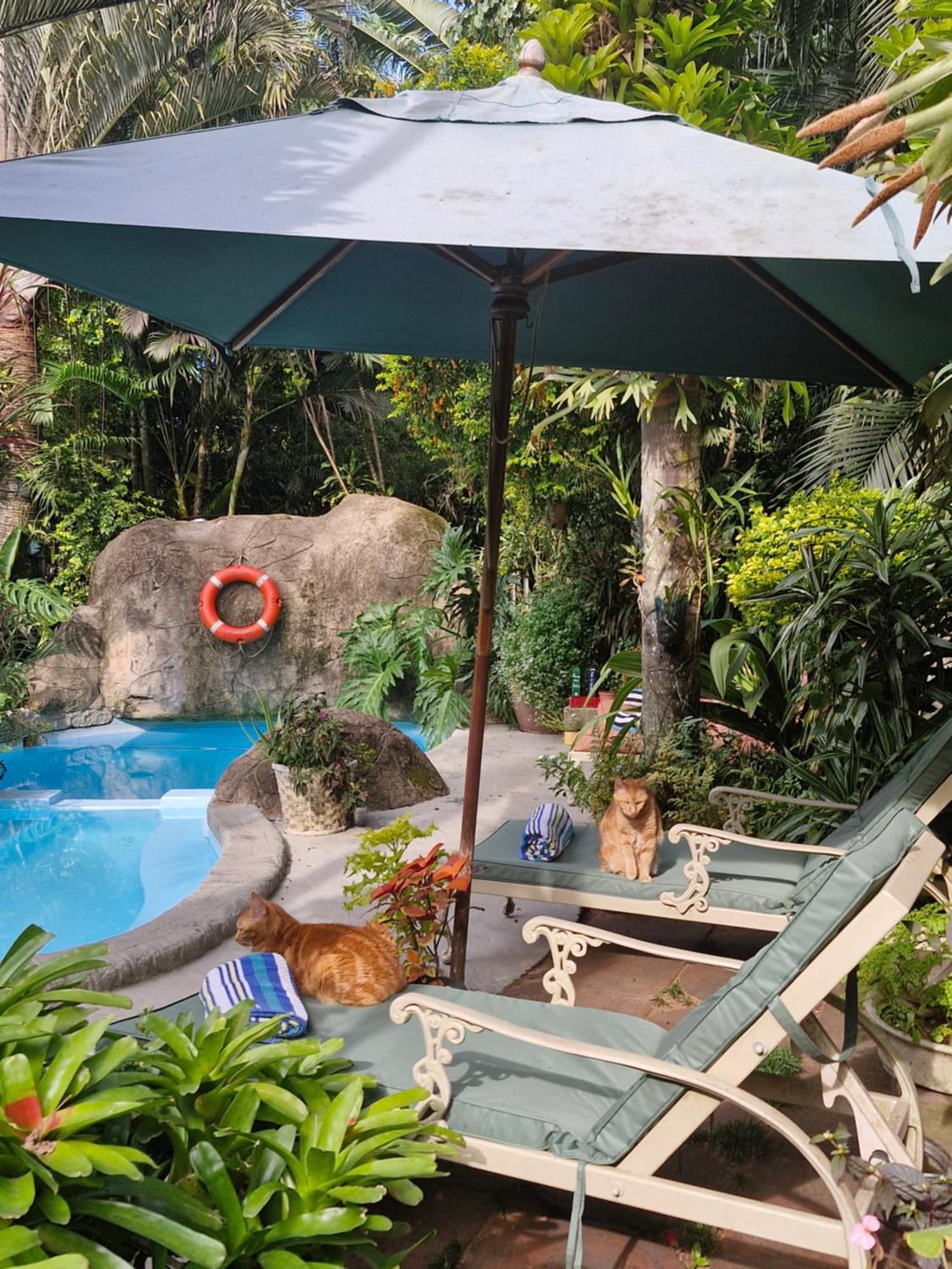 African Ambience Guest House Сент-Люсія Екстер'єр фото