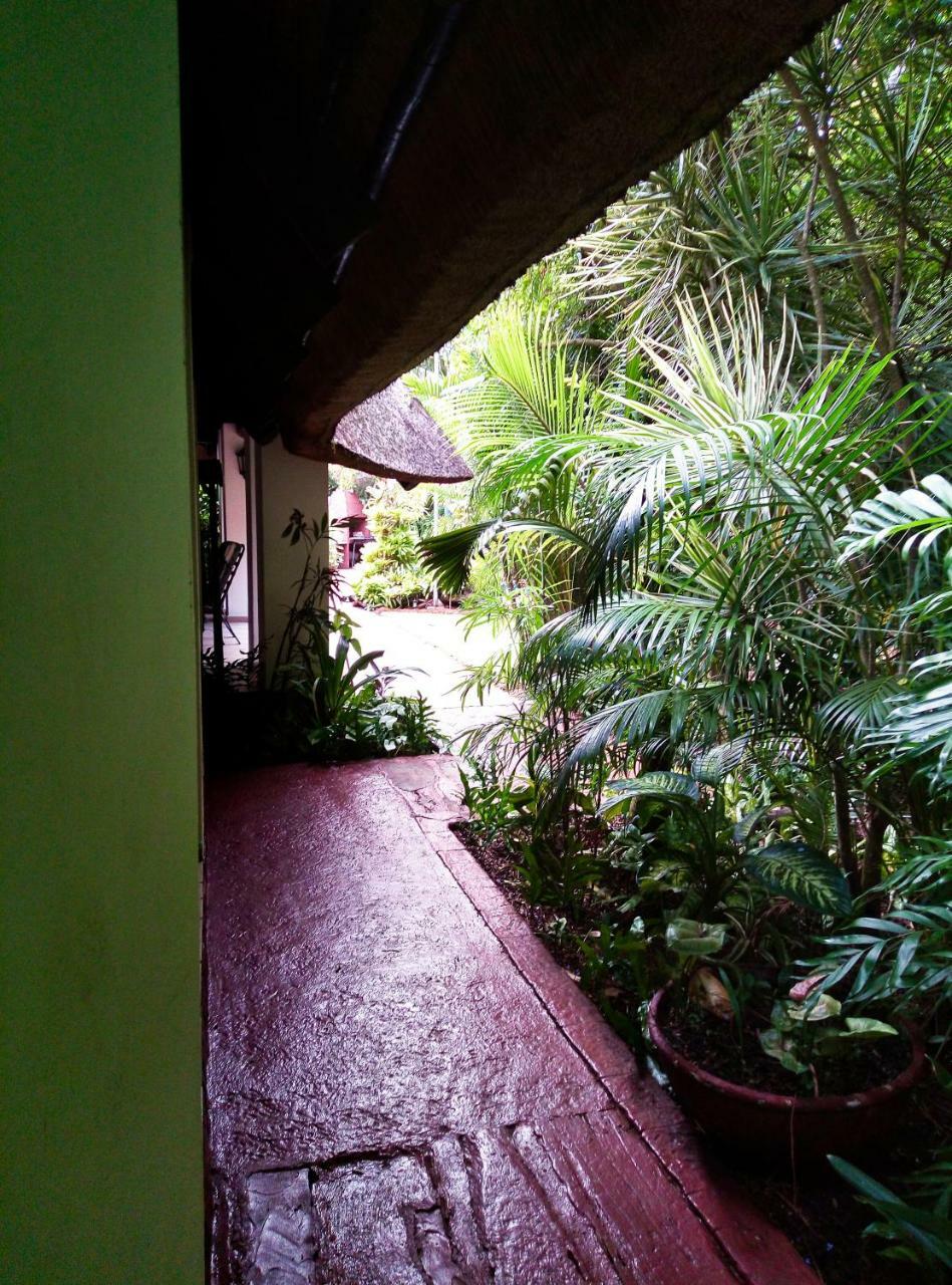 African Ambience Guest House Сент-Люсія Екстер'єр фото